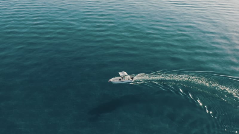 Aerial view of a speedboat in the Ionian Sea, Calabria, Italy.