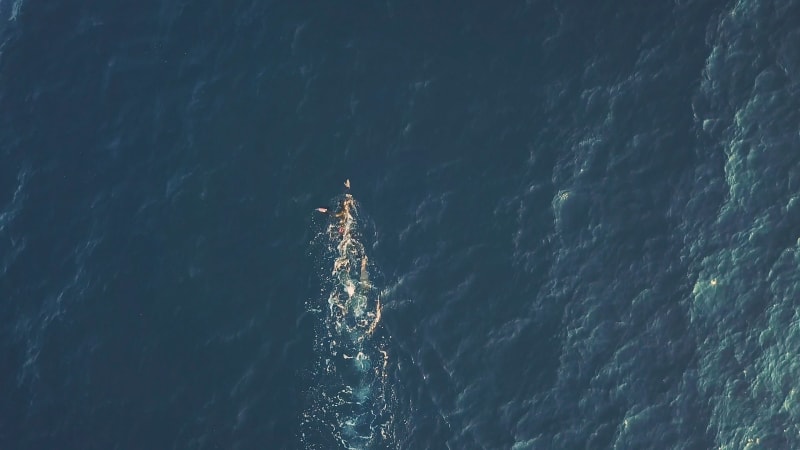 Aerial view of a man swimming at ocean water.