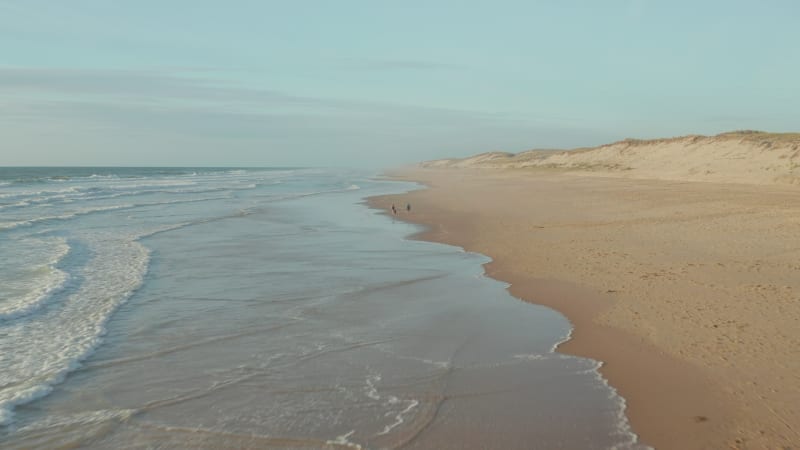 Happy romantic middle age couple enjoying relaxing sunset walk on endless beach with Dog, Aerial high angle forward