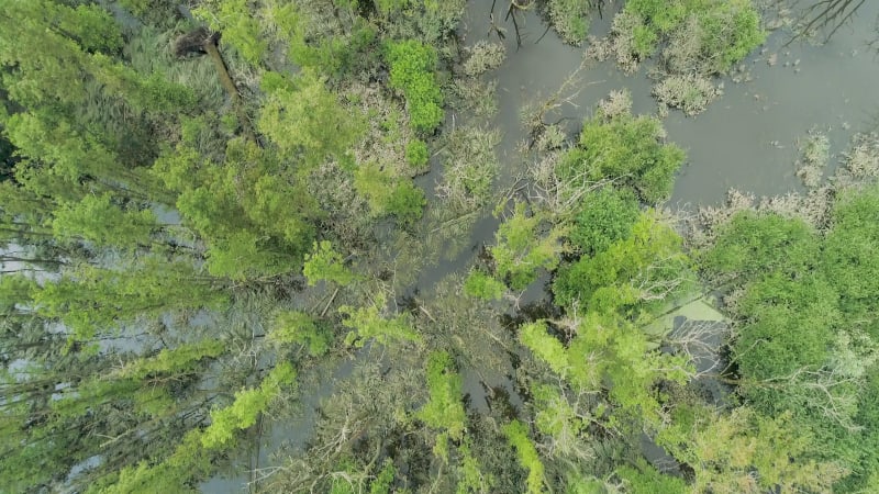 Aerial view of nature area in Brugven, Noord-Brabant, Netherlands.