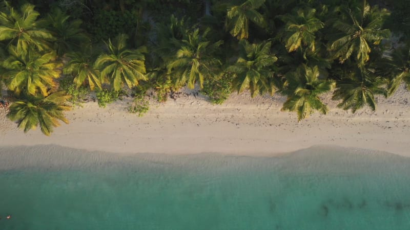 Aerial view of a paradise beach, Desroches, Seychelles.