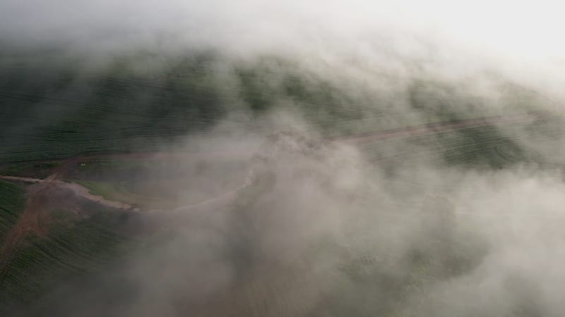 Aerial view of Overberg farm with green field and fog, Western Cape, South Africa