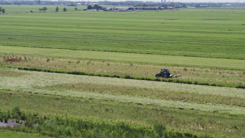 Agricultural Fields in Krimpenerwaard