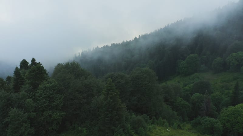 Aerial view of Dzemerdzhi mountain with fog, Crimea, Russia.