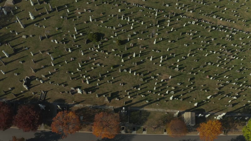 High angle view of various tombstones on green lawn. Autumn trees along path in old Calvary Cemetery. Queens, New York City, USA