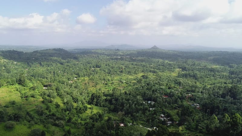 Aerial view of the countryside in Embu