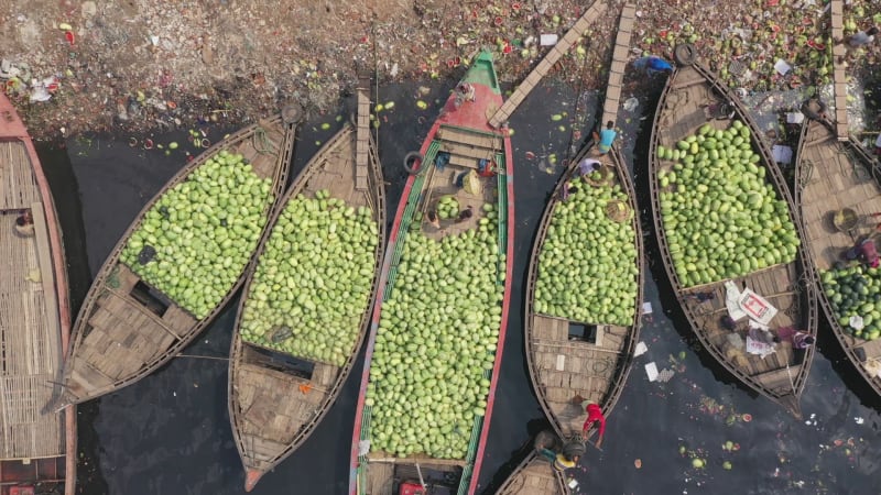 Aerial view of commercial boats with people unloading watermelons, Bangladesh.