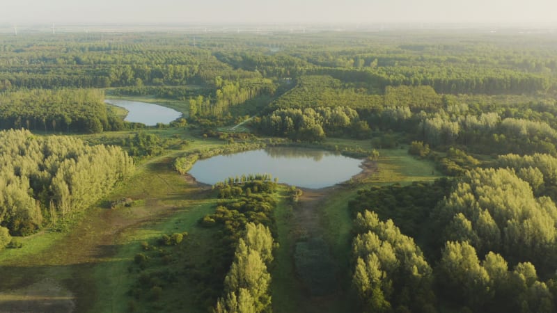 Aerial view of beautiful natural park with thick forests and blue lakes