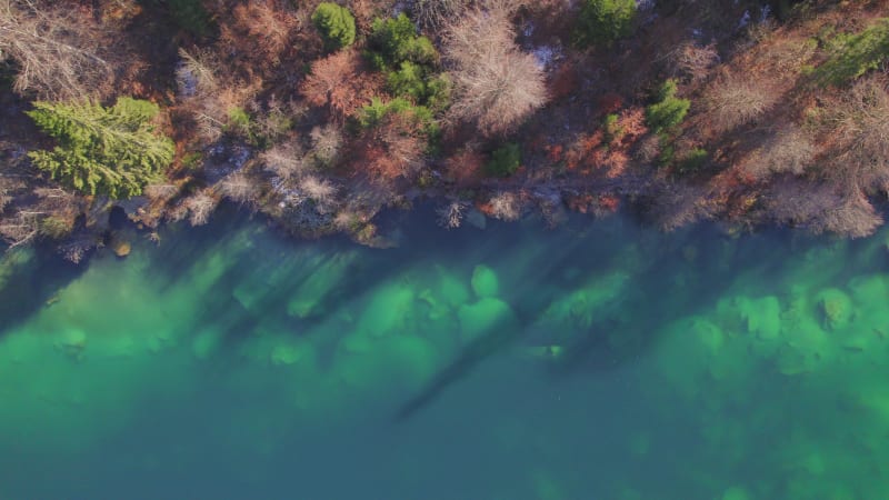 Crestasee Lake Emerald Colours with Trees on the Banks of the Swiss Lake