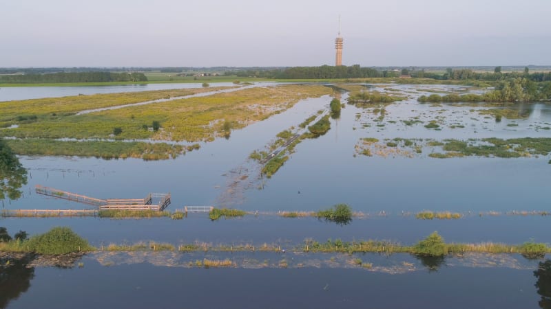 Aerial view of corn field along river Maas, The Netherlands.