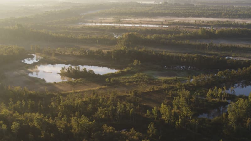 Dutch River Delta: Showcasing Local Ecosystem and Farming Practices