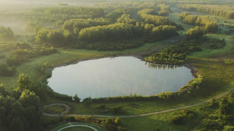 Aerial rising pull back shot of a still lake in a nature reserve in Holland, wide shot with haze and soft morning light