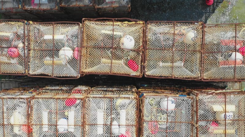 Aerial view of many crab cages in Alaska.