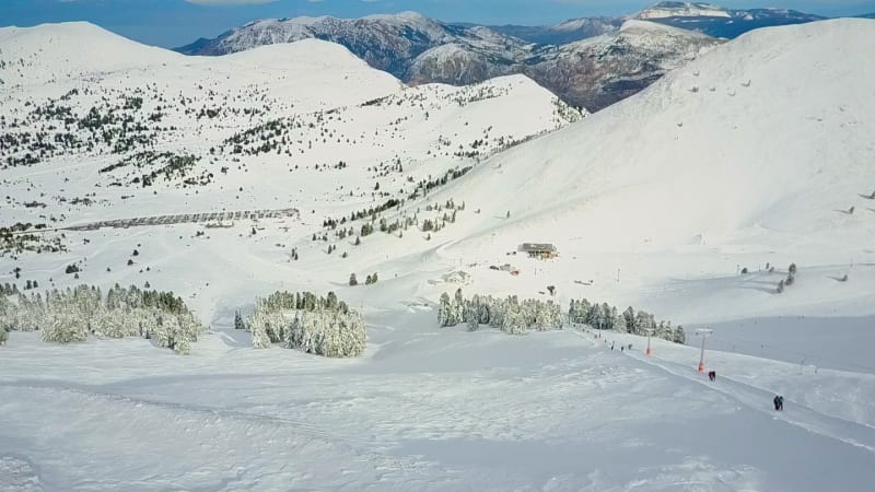 Aerial view of mountains surrounded by snow and pine trees.