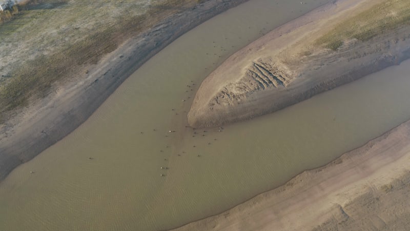 Aerial view of the birds in a brown water canal crossroads