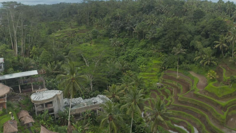 Aerial view of a luxury residential home and terraced paddy fields in the tropical rainforests of Bali