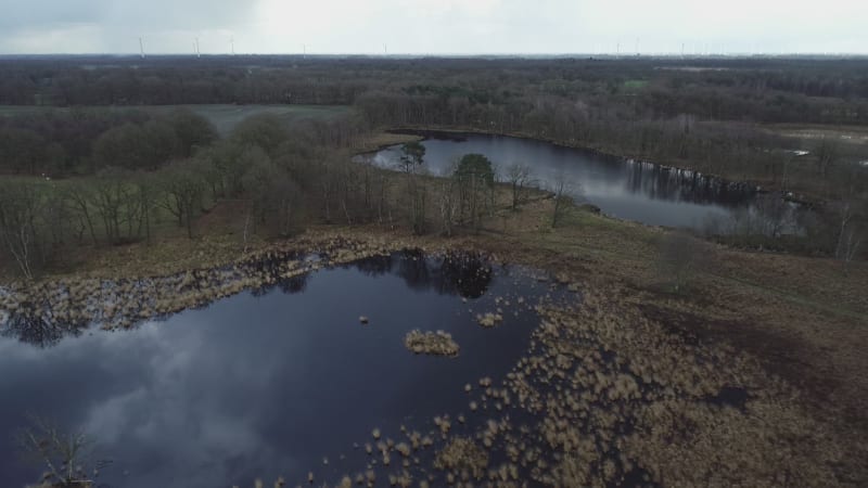 Aerial view of skaters on a frozen lake in nature, Buurserzand