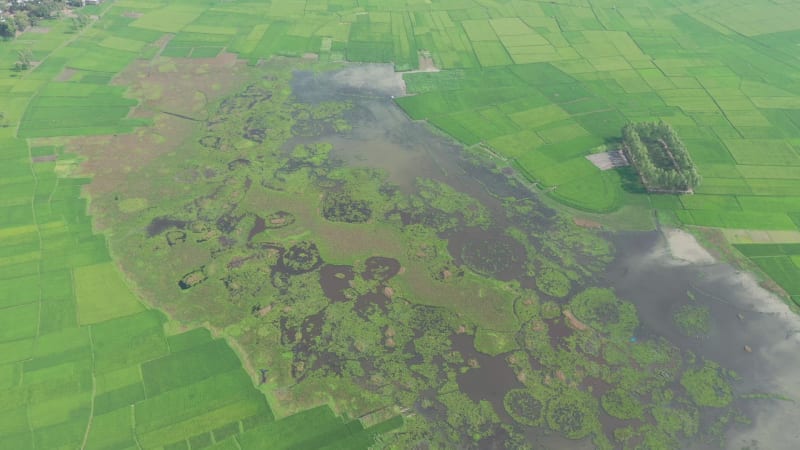 Aerial view of a flooded area with lagoon in Chatmohar, Bangladesh.