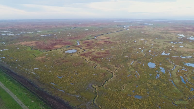 Aerial view of wide wetland ecosystem near the ocean.