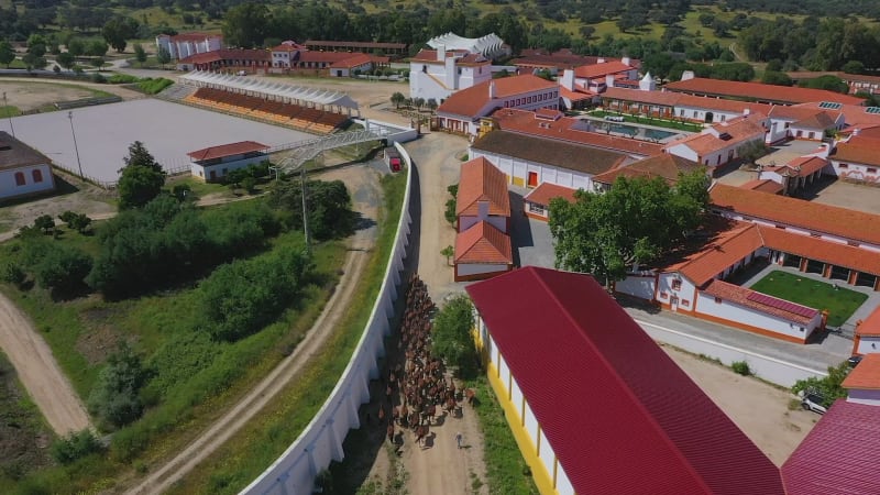 Aerial view of Coudelaria de Alter