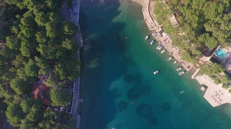 Aerial view of hidden beach surrounded by native forest.