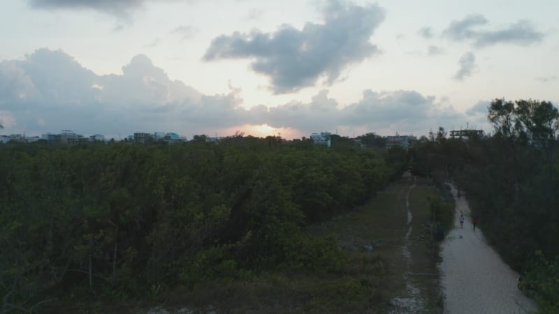 Multistorey buildings surrounded by forested area. Pedestal reveal shot during sunset