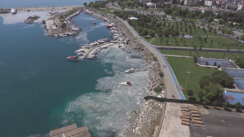 Aerial view of mucilage along the coast near the harbour at the Marmara Sea coast of Istanbul, Turkey.