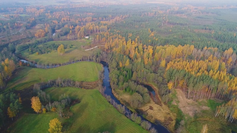 Aerial view of river crossing forest during Autumn.