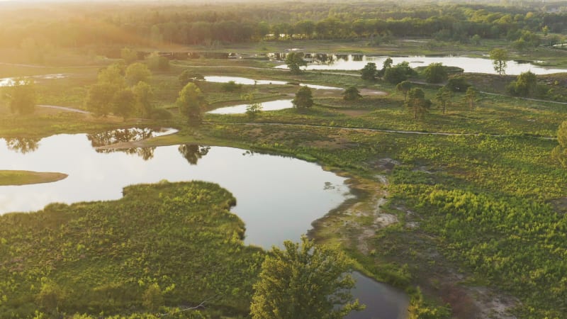 Aerial view of stunning lakes in a park lit by beautiful evening light