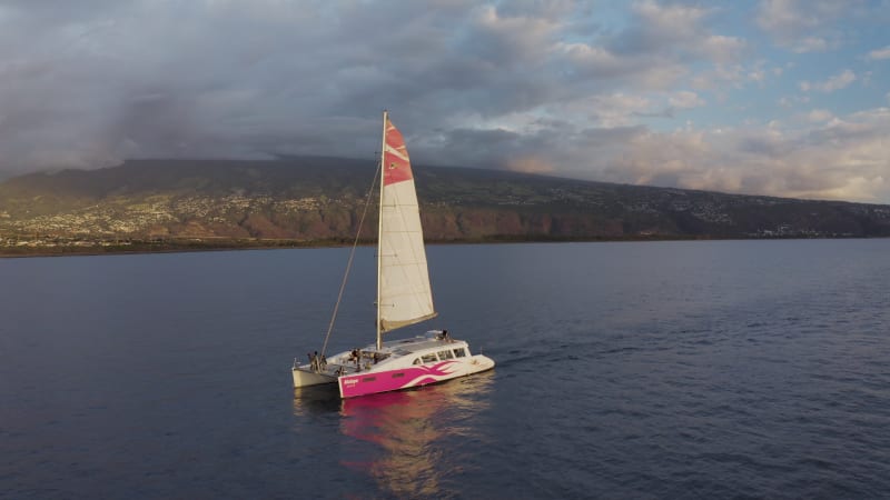 Aerial view of a catamaran sailing along the coast, Reunion Island.