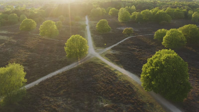 Aerial view of a beautiful park lit by golden evening light