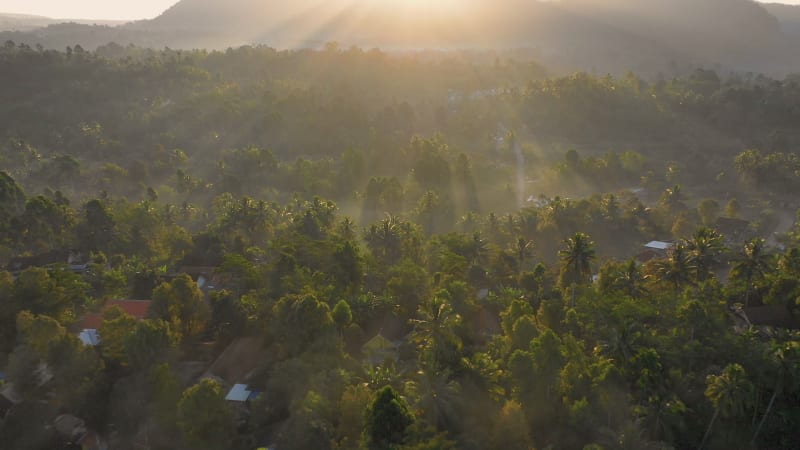 Aerial view of a scenic sunset over a dense forest near a mountain.