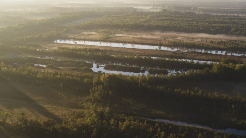 Dutch River Delta: Ecosystem and Farming Practices