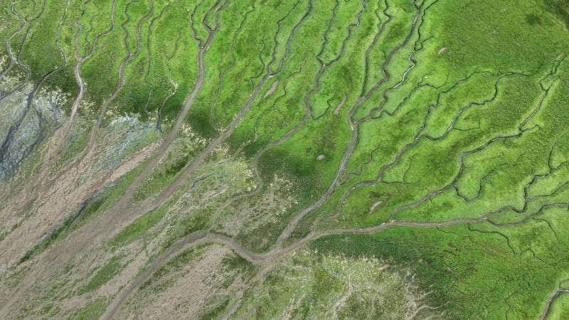 Discovering Slikken van Voorne: River Delta and Tidal Marshes in Oostvoorne, The Netherlands