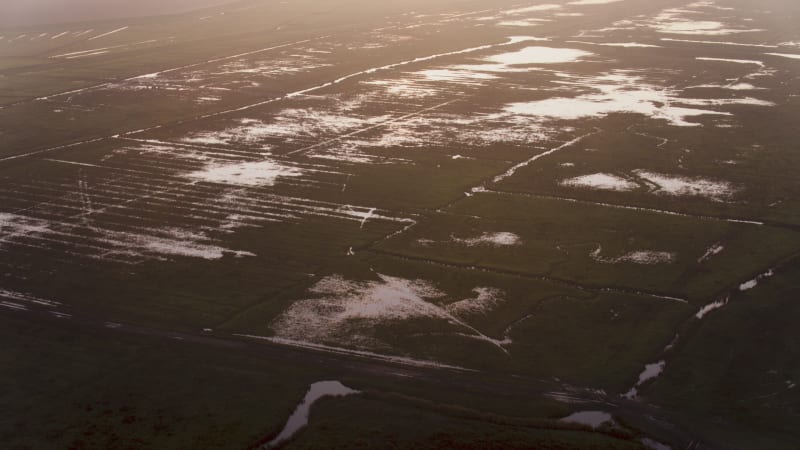 Dutch River Delta: Natural Ecosystem and Submerged Farming