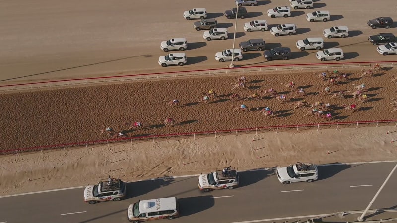 Aerial view of a group of camels during a race in the desert.