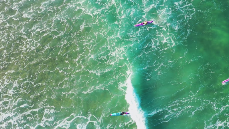 Aerial view of Surf Lifesaver trainees, Queensland, Australia.