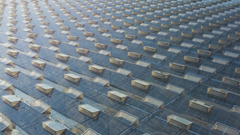 Industrial glass greenhouse roofs stretching into the distance