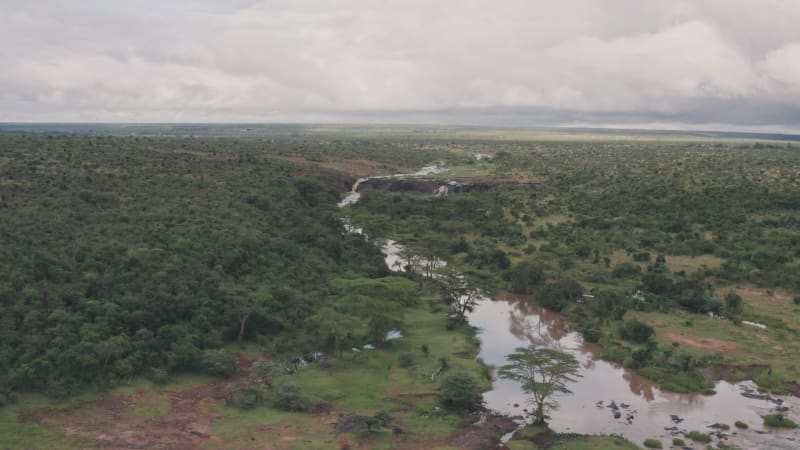 Wide aerial view of wild African landscape with brown river