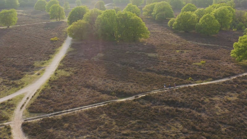 Aerial view of a group of friends walking on a path through a park