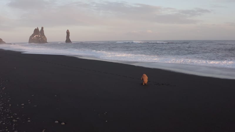 A Photographer on the Black Sand Beach in Iceland at Sunset