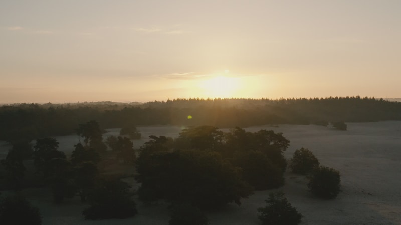 An early morning sunrise at Soesterduinen, the Netherlands