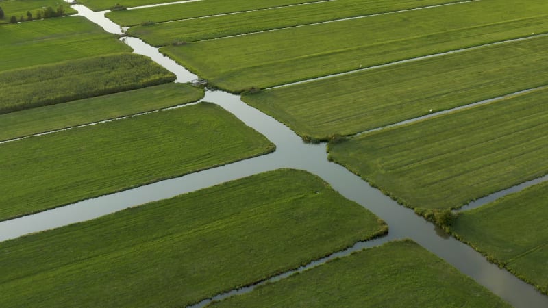 Irrigated farming fields in the Netherlands
