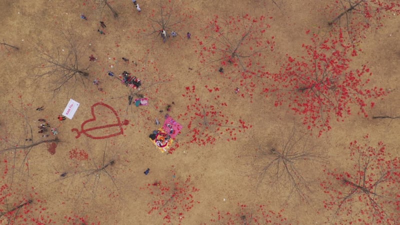 Aerial view of people in a countryside field, Dhaka, Bangladesh.