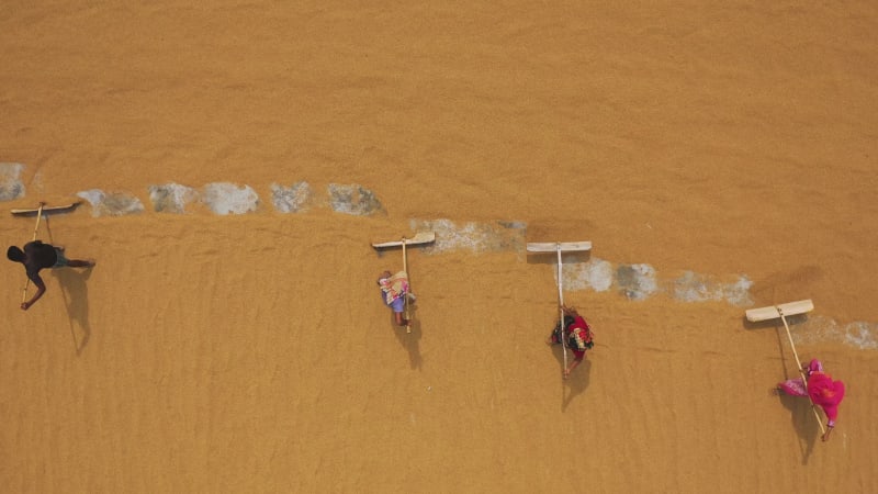 Aerial View of farmers working in a field in Dhaka, Bangladesh.