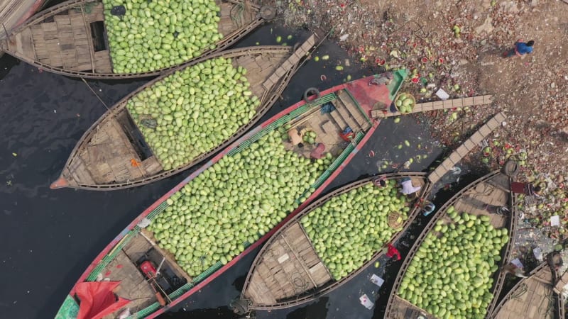 Aerial view of commercial boats with people unloading watermelons, Bangladesh.