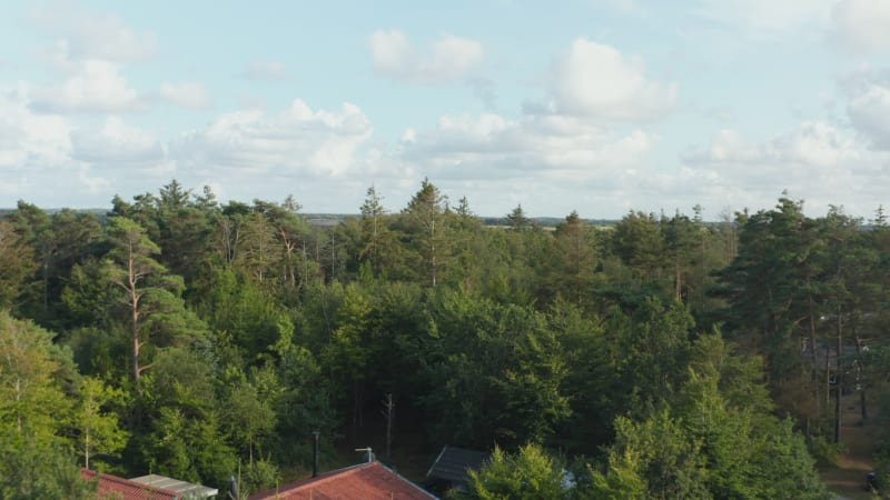 Forwards fly above trees in forest. Wooded flat landscape. Fly over building hidden among various trees. Denmark