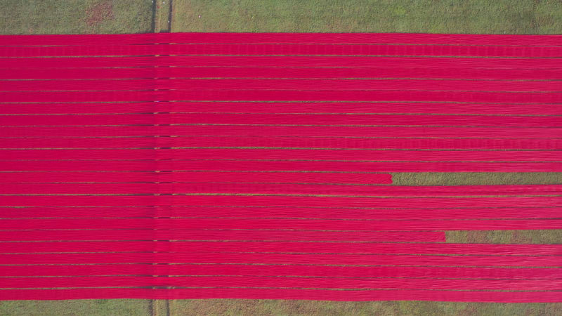 Aerial view of red cotton rolls drying on a field, Dhaka, Bangladesh.