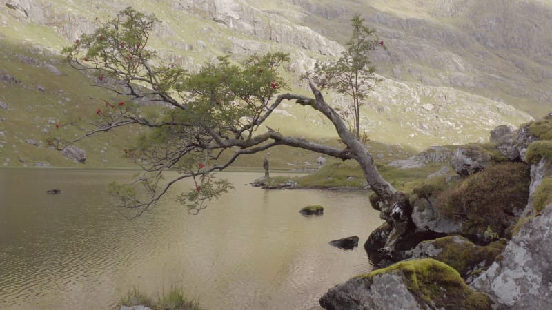 Fly Fishing in a Mountain Lake Surrounded By Beautiful Landscape