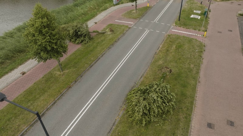 Aerial view of a fallen tree post-storm Poly in Heemskerk, Netherlands. July 2023.